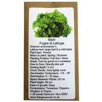 6 Degrees East Heirloom Herb Seeds - Basil - A Foglie di Lattuga